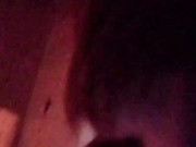 harley-joker 10.02.2024