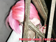 Forest-Whore