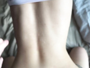 zebra1818 02.03.2024