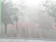 Sunshine13_