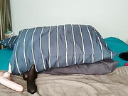 Онлайн-эровидеочат с MinniMia на BongaCams 2024-03-08 10_46