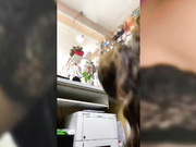 EVERGLOW(Cute-Anya )апскирт на работе-34