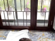 ПЫШНАЯ КРАСОТКА