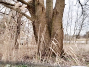 ДЕВИЦА ОТСОСАЛА В АВТО