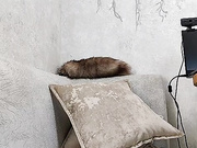 Alinka1979 28.03.2024