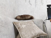 Alinka1979 28.03.2024