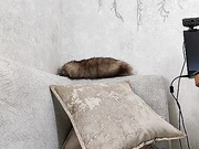 Alinka1979 28.03.2024