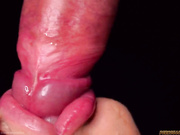 ДЕВИЦА САСЕТ ЧЛЕН