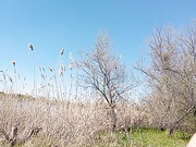 Cleopatra1990 07.04.2024