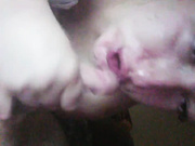 _exyqnsis_19 29.04.2024