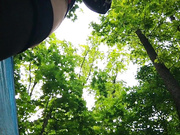 LOVE_IS_LOVE 16.05.2024