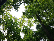 LOVE_IS_LOVE 16.05.2024