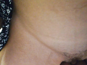 FoxLoveBasik 27.05.2024