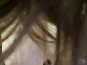 Ellidi