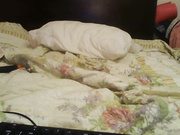 Kristina321 мастурбирует показывает сиськи