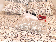 JennyRollsVipShow