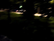 BizonRegina 12.06.2024