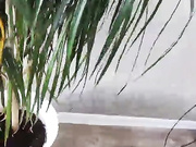 Онлайн-эровидеочат с 1sexymywife1 на BongaCams 2024-06-19 14_18