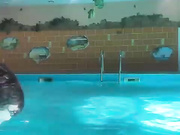 alyavassk 26.06.2024