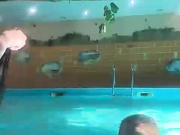 alyavassk 26.06.2024