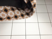 AmmyHot