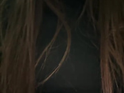 -ALLINA-