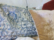 LittleDelora 07.07.2024