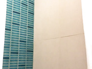 ДЕВИЦА В ДУШЕ