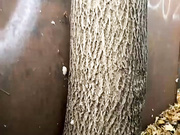 девки за гаражами