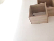 dianka-69 27.07.2024