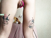 Red_Fox