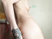 Red_Fox