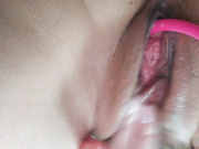 TigerToxic 09.08.2024