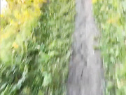 bongacams