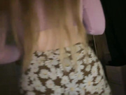 LollaDolly