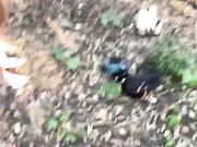 Crazy-lady 22.08.2024