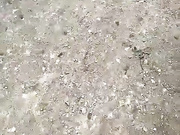 SNegokIce