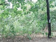 BceMnPuBeT 30.08.2024