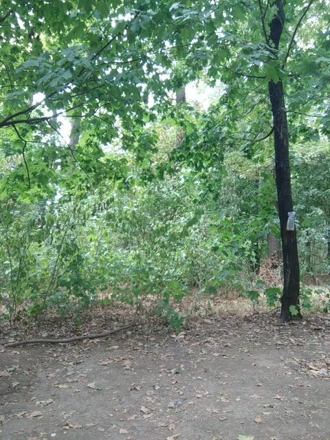 BceMnPuBeT 30.08.2024