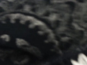 Aphelandrina