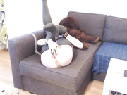 odry_blare / odriblare_ #4 [contact for more]