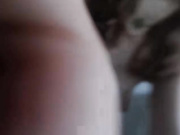 Hallierose