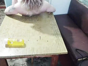 yarovaya (с парнем)