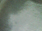 TigerToxic 02.10.2024