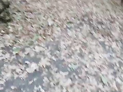 BceMnPuBeT