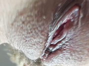 TigerToxic - трахает твоё лицо своей горячей киской