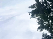 GAVKA_