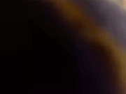 paralaska 03.11.2024