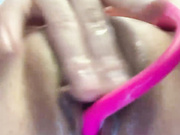 Volly_lolly