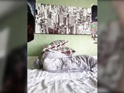 RitaAdler69 c Domi-2